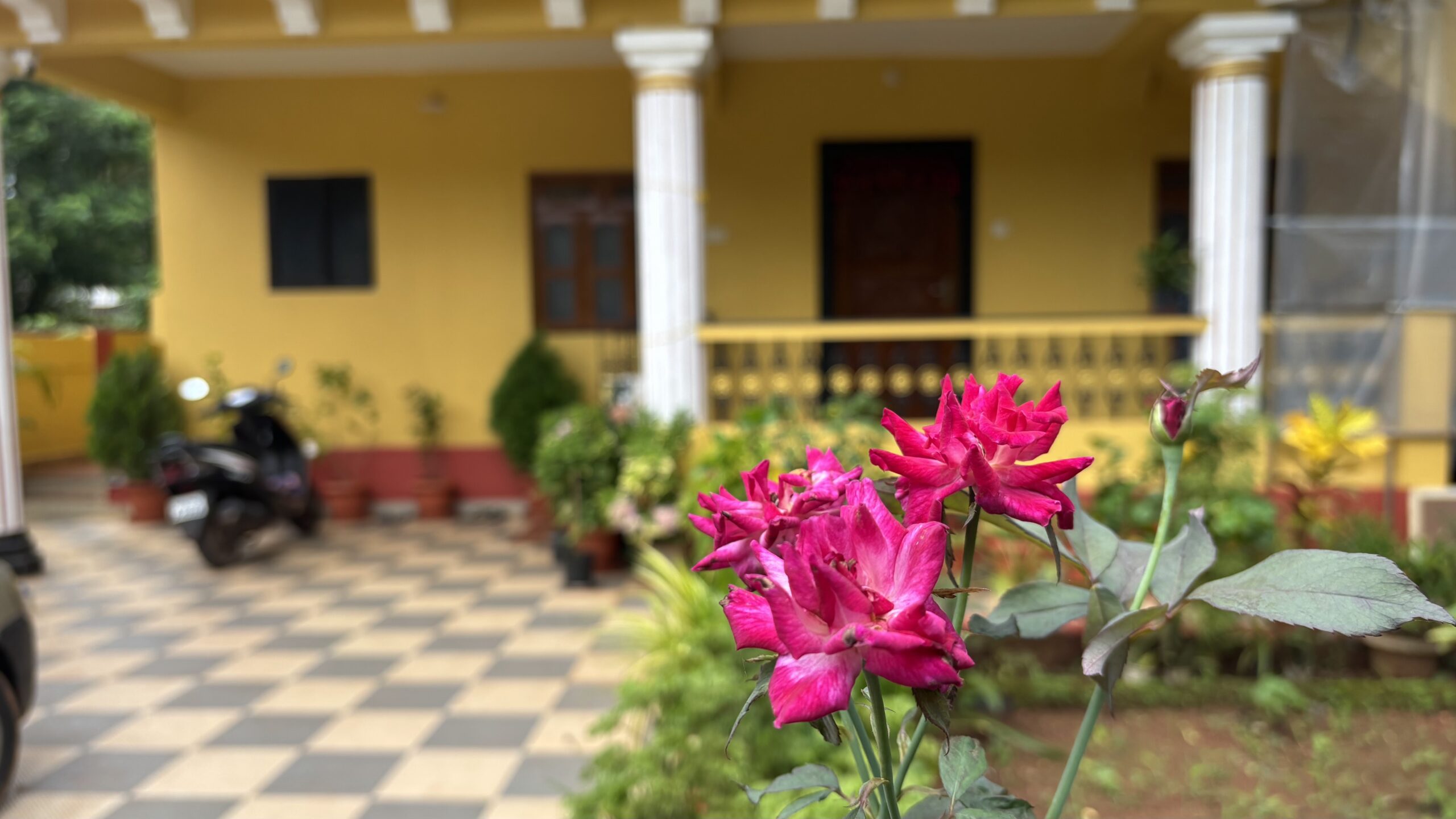 Goa Beyond  Beaches: A Rural Food Trail Through Goa